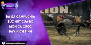 Đá Gà Campuchia Sức Hút Của Bộ Môn Cá Cược Đầy Kịch Tính 3 Đá Gà Campuchia Sức Hút Của Bộ Môn Cá Cược Đầy Kịch Tính