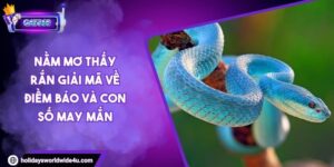 Nằm Mơ Thấy Rắn Giải Mã Về Điềm Báo Và Con Số May Mắn 2 Nằm Mơ Thấy Rắn Giải Mã Về Điềm Báo Và Con Số May Mắn